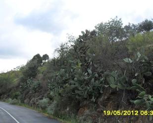 Land for sale in Pereña de la Ribera