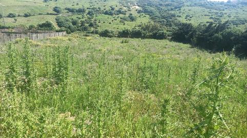 Foto 2 de Residencial en venda a  Camino Cañada de Matatoros 0, Tarifa ciudad, Tarifa