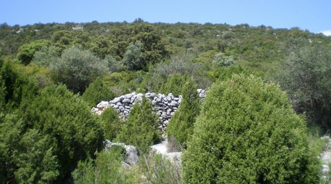CullaFinca Rustica, image 5