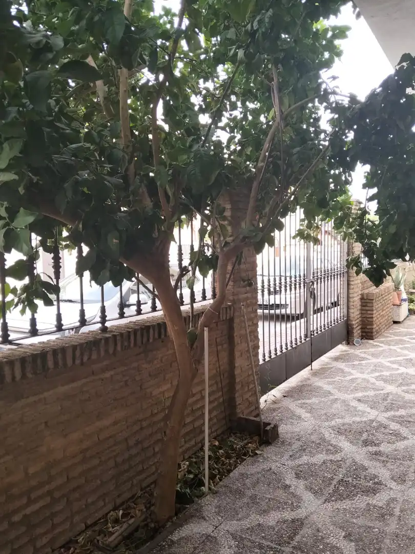 Detached house with pool for sale in Las Almenas