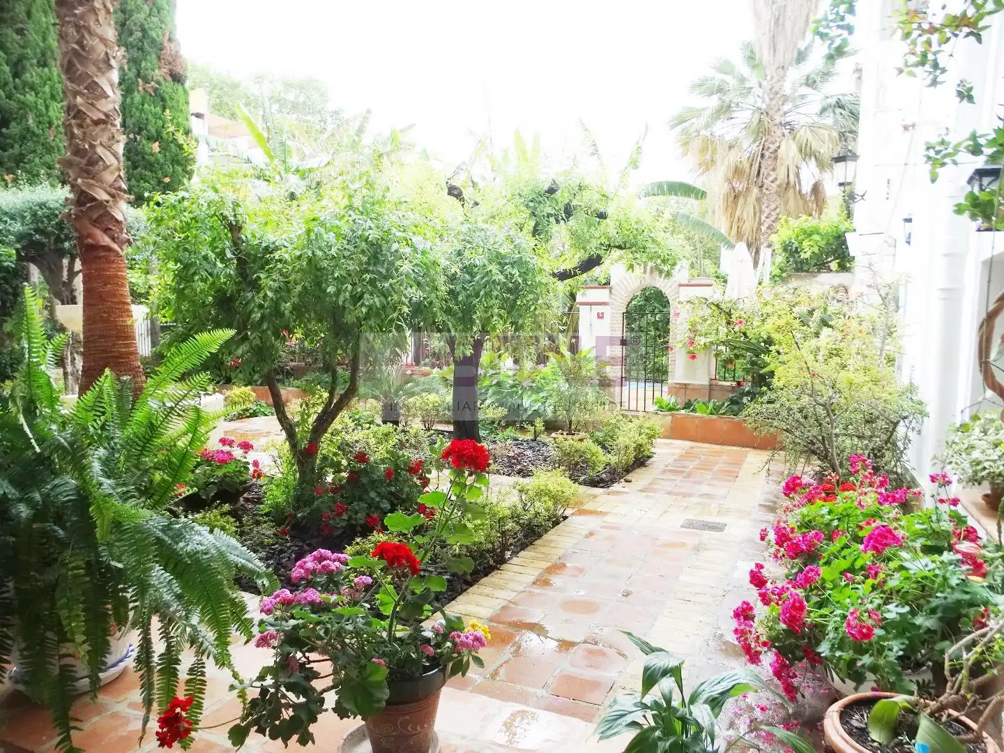 Casa con piscina en venta en Xàtiva, imagen 14