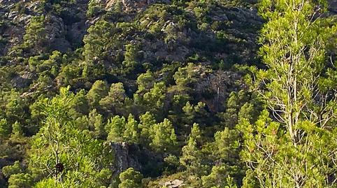 Photo 3 of Country house for sale in Benifallet, Tarragona