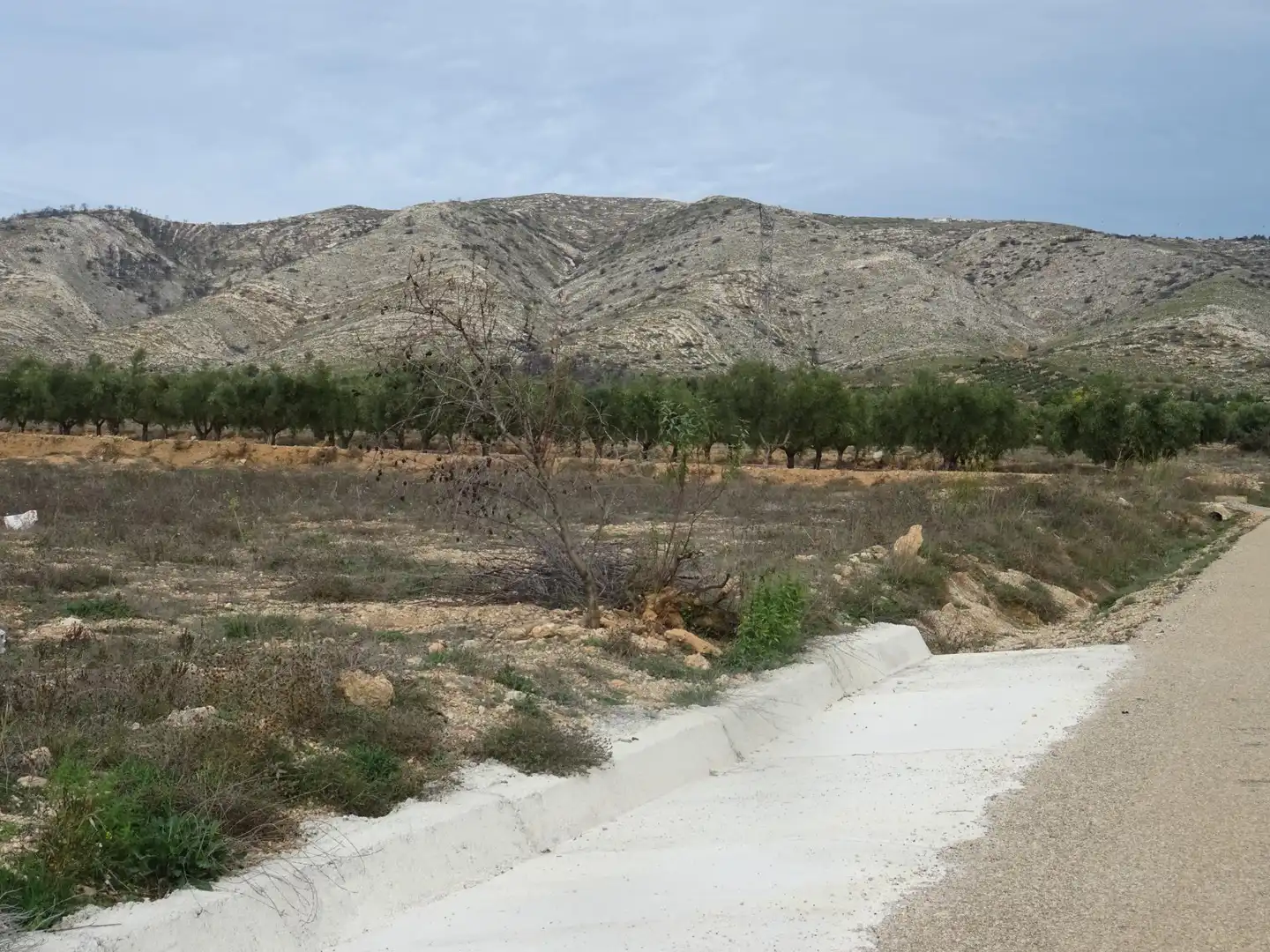 Residential land for sale in Beneixama, imagen 4