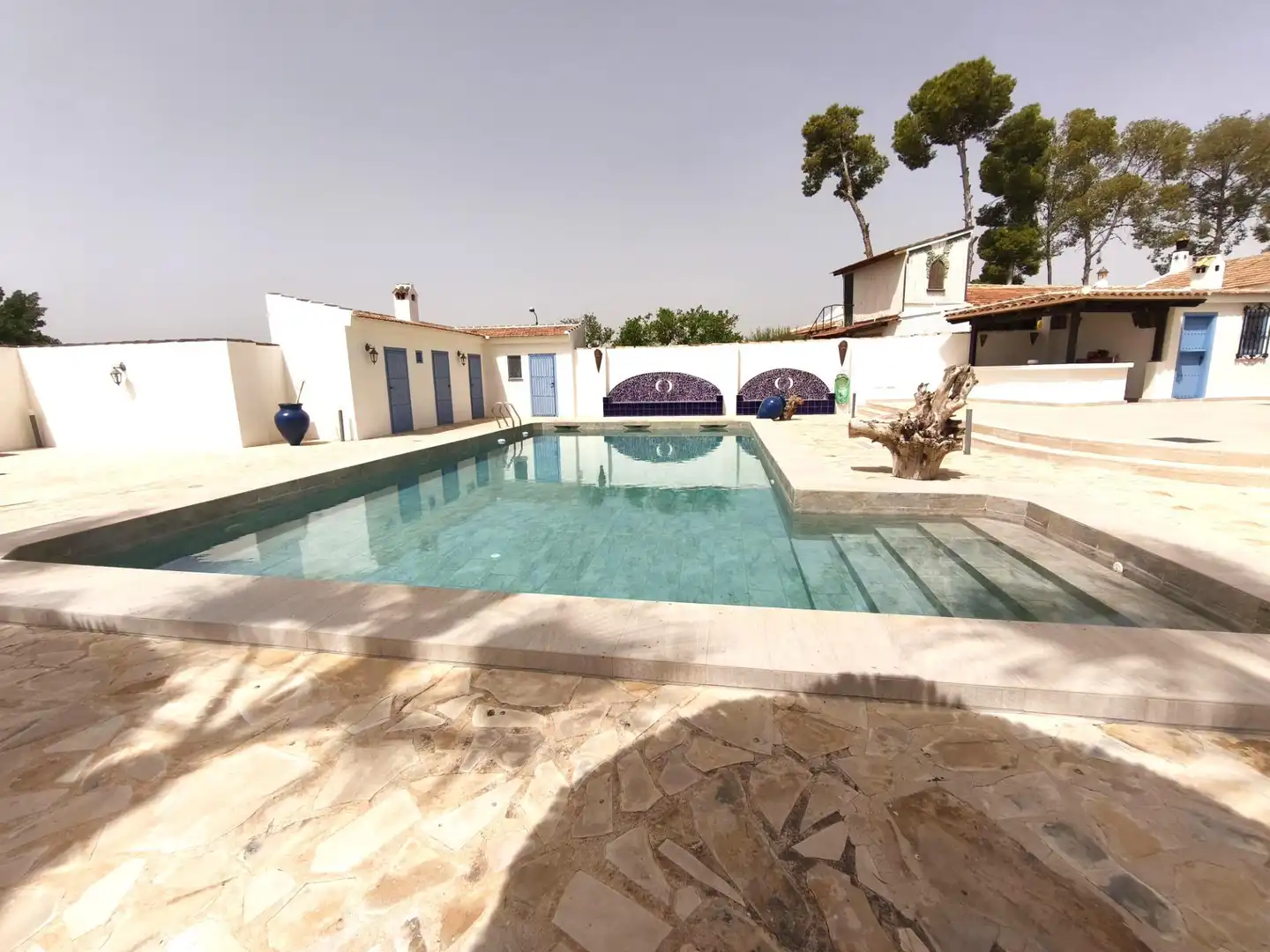 Piscina de Casa o chalet en venta en Molina de Segura