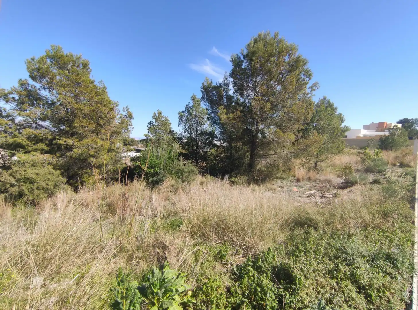 Wohnbaugrundstück zum Verkauf in La Alberca, imagen 9