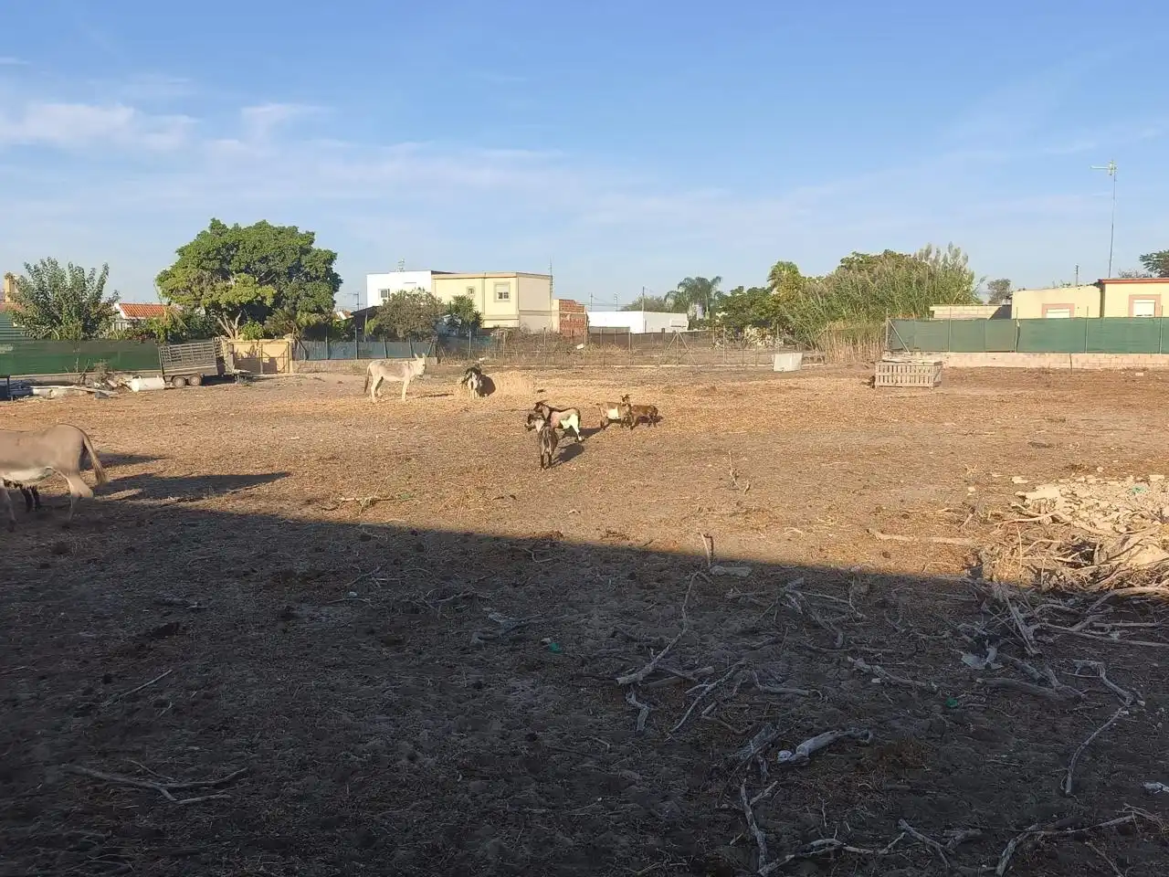 Rural land for sale in Camino de Santo Dios, imagen 6