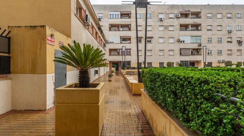 Foto 4 de Dúplex en venta en Calle Calle Alcalá la Real, 12, Almanjáyar, Granada Capital