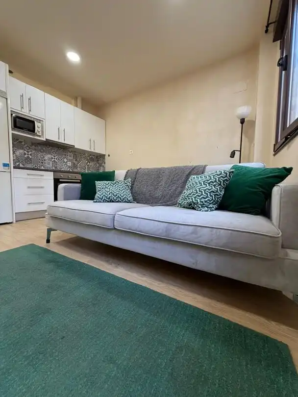 Sala de estar de Piso de alquiler en Gijón 