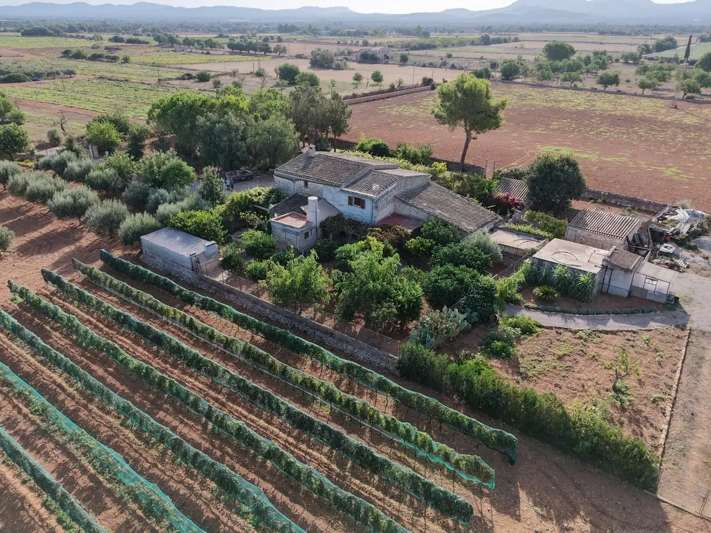 Country homes for sale in Felanitx Poble