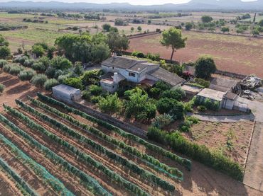 Casa rústica en venda a Felanitx Poble