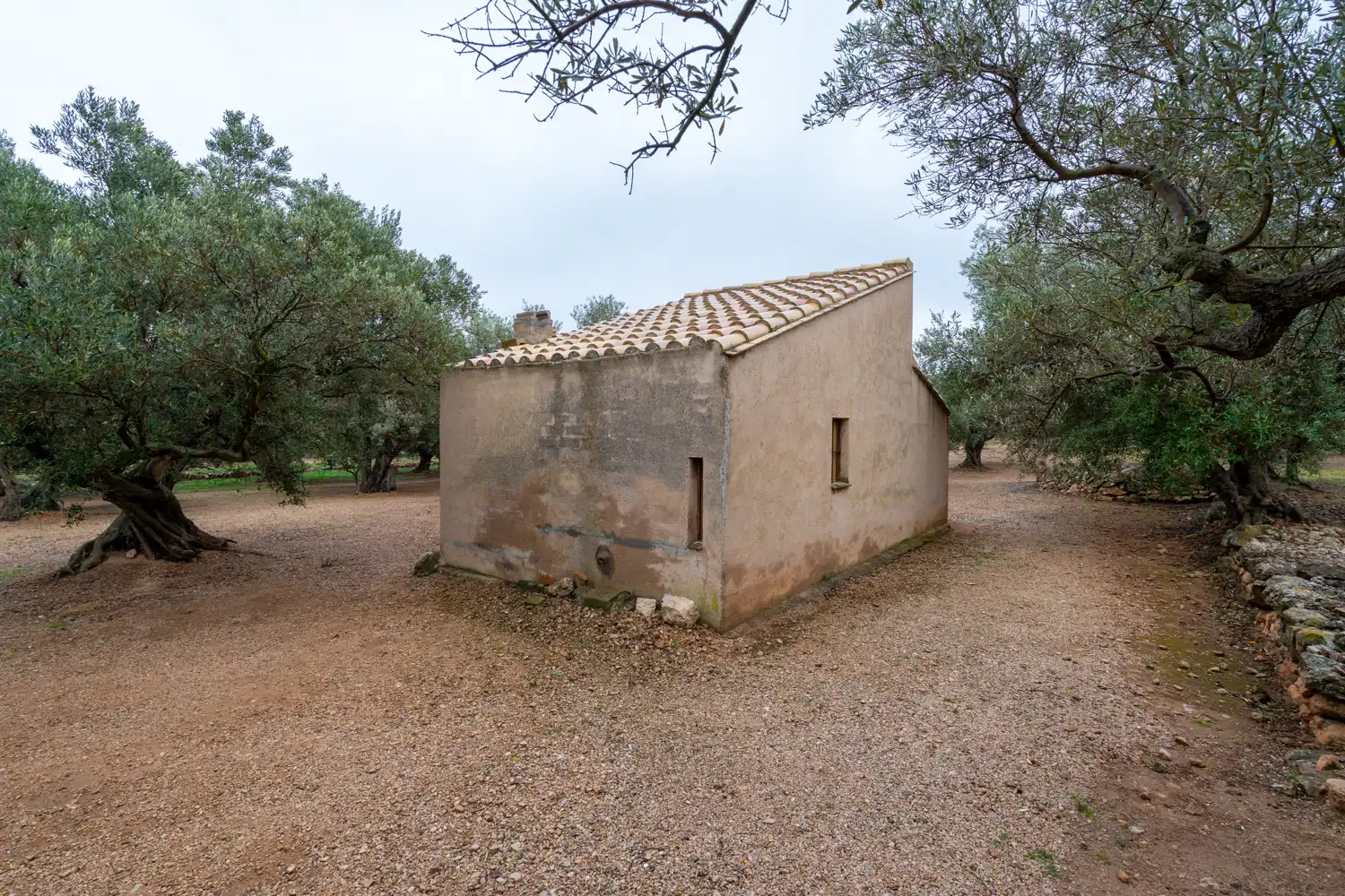 Terreno rustico in vendita a Cami de Pandorga 1, imagen 4