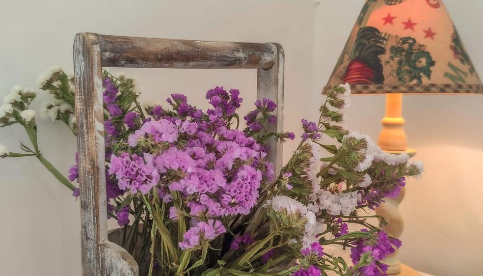 Photo 1 of Flat to share in Pont Nou - Corazón de Jesús, Alicante