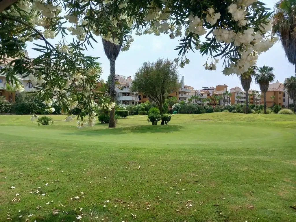 Ático con piscina en venta en Playa del Acequión, Náufragos y Rocío del Mar, imagen 30