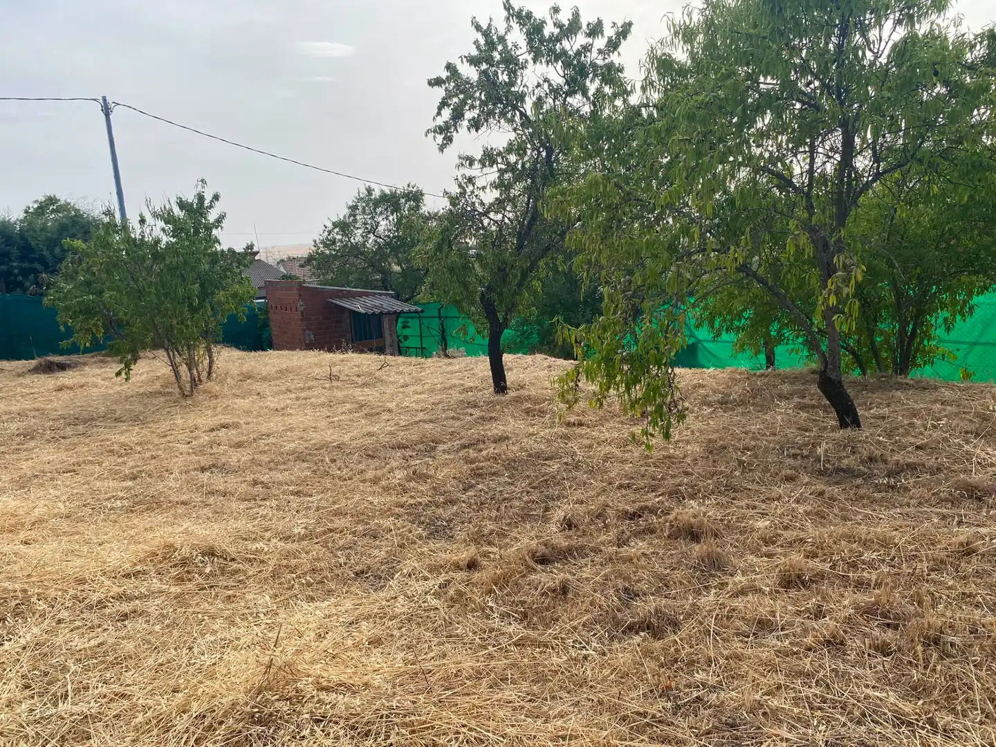 Finca rústica en venta en Carranque con Jardín privado, Terraza y Amueblado