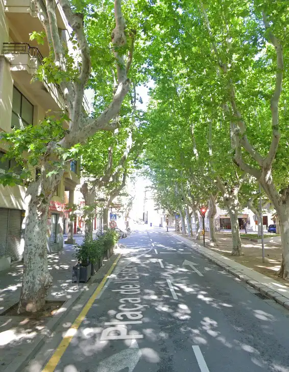 Wohnung zum Verkauf in Plaça de l'Estació