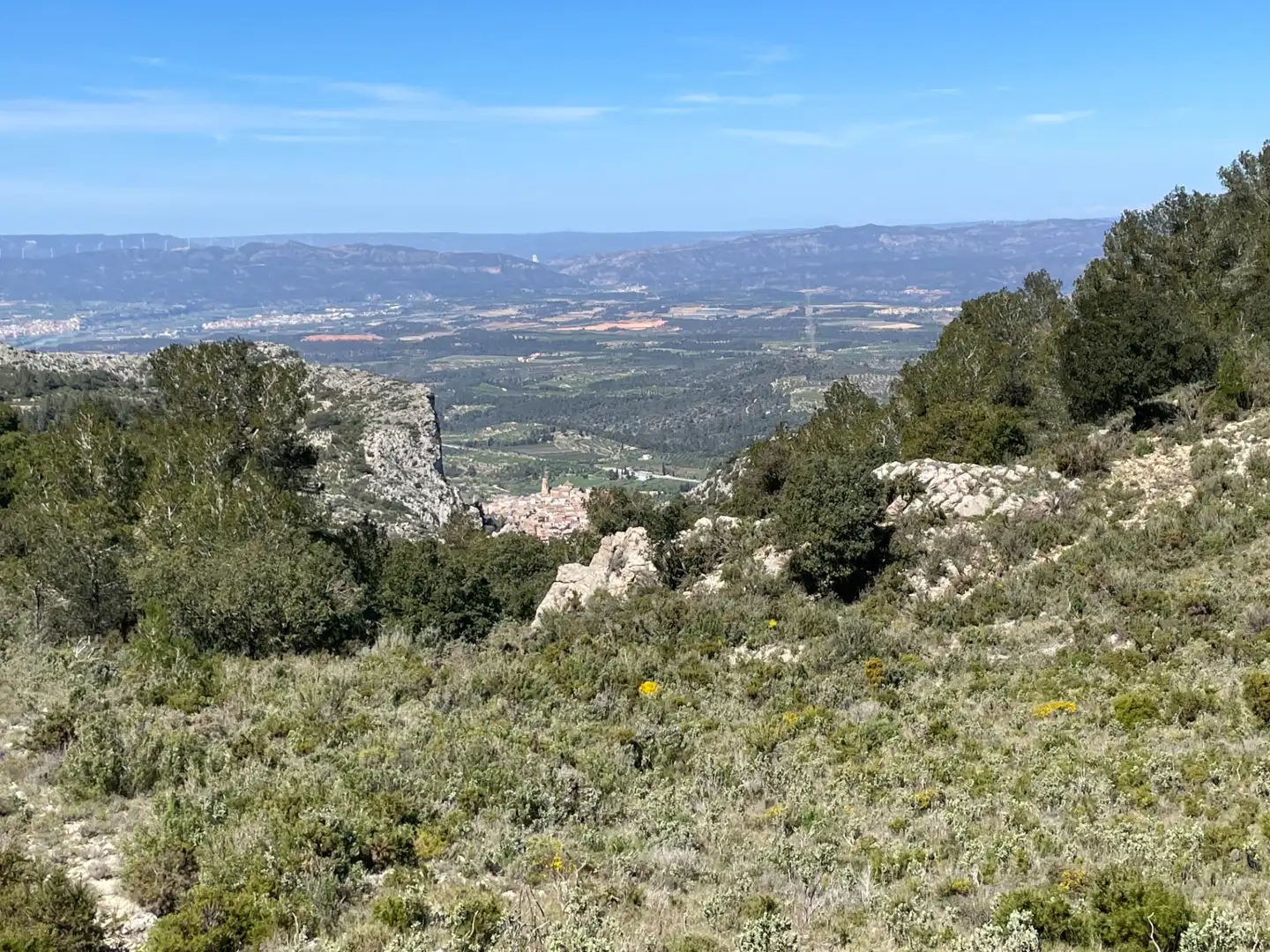 Terrain rustique à vendre à Tivissa, imagen 8