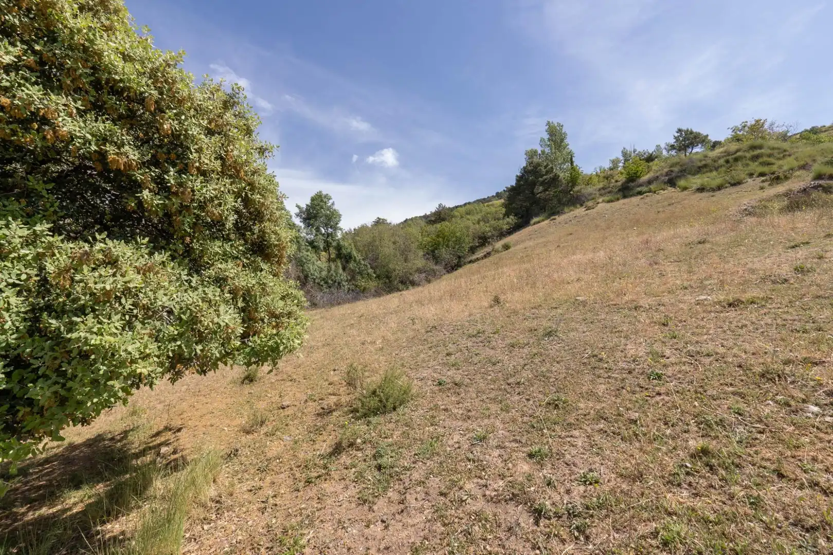 Terreno en venta en Soportújar