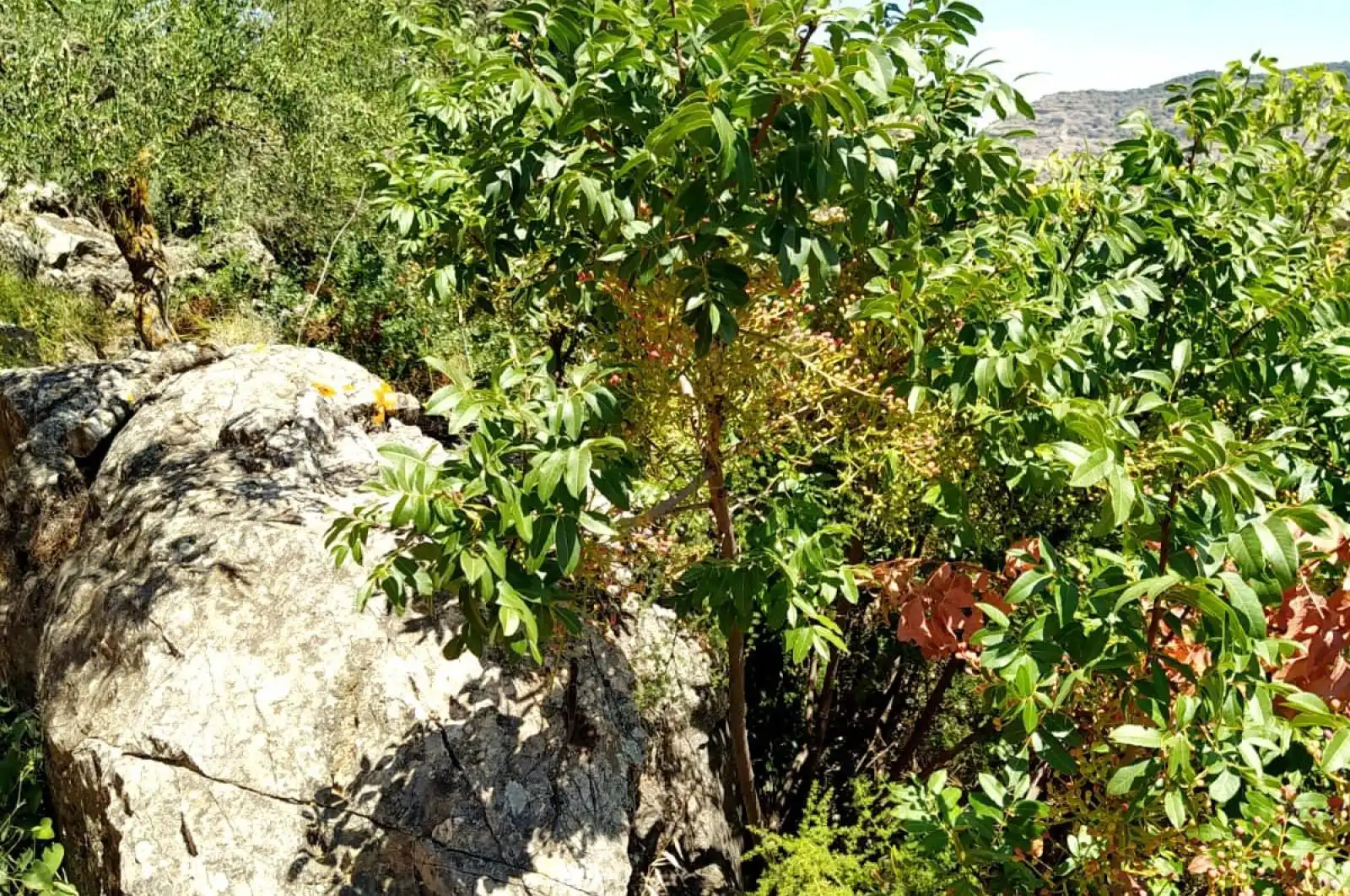 Terreni e lotti in vendita a huerto franco, imagen 55