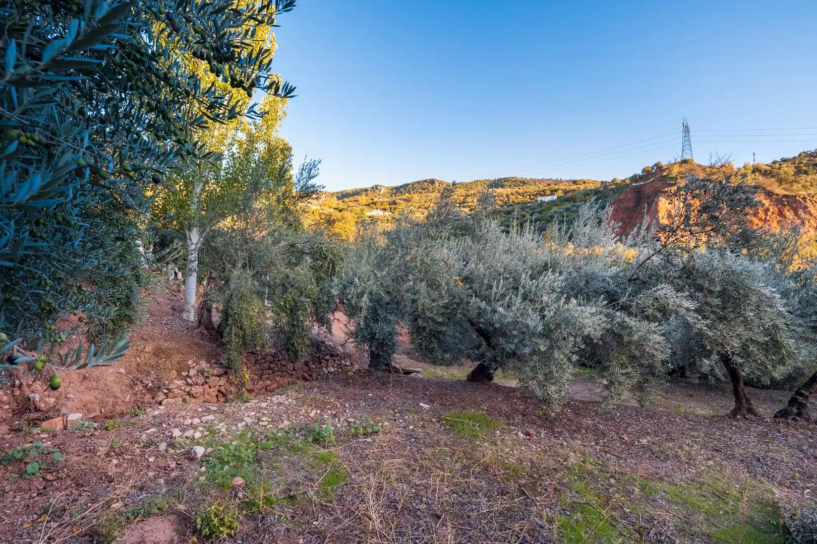 Casa o xalet en venda en Cogollos de la Vega