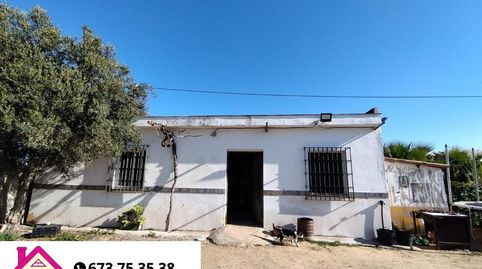 ESTUPENDA FINCA EN CHIPIONA