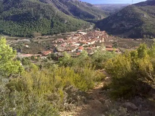 Vista exterior de Terreny en venda en Pratdip