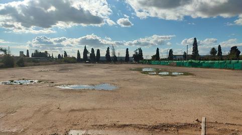 Foto 5 de Finca rústica de lloguer a N/a, -1, Ciudad de Asís, Alicante