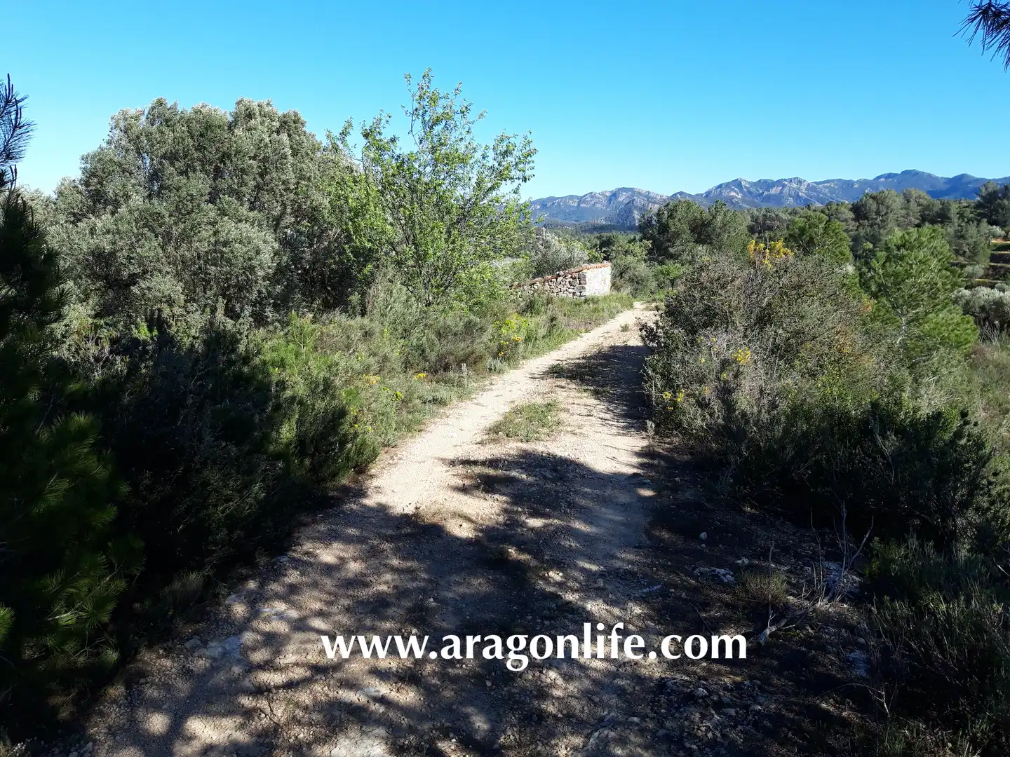 Rural land for sale in C-43, imagen 4