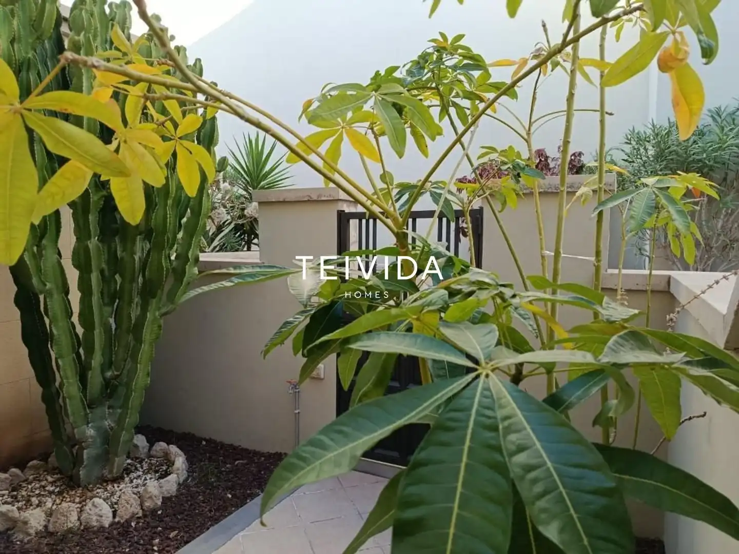 Casa a schiera in vendita a Calle Tigalate, imagen 28