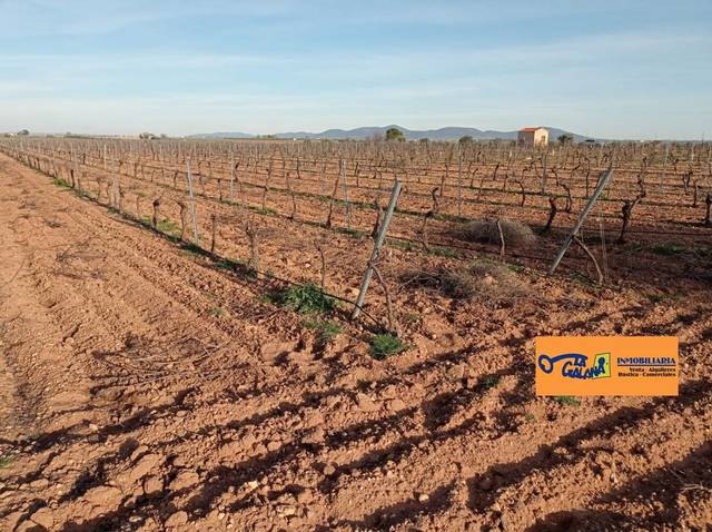Terreno en Venta en Valdepeñas