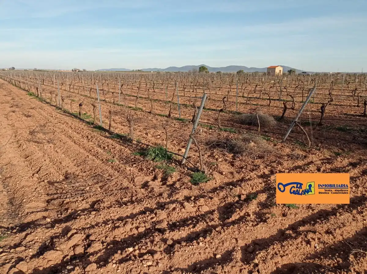 Rural land for sale in Valdepeñas