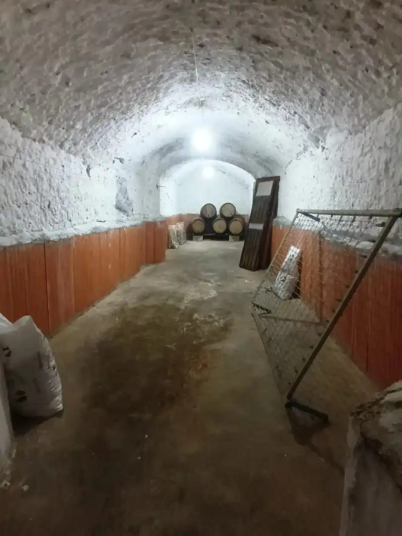 Rustikales Grundstück zum Verkauf in Fonelas, imagen 14
