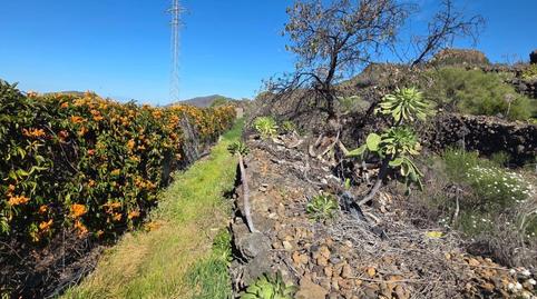 Foto 4 von Grundstücke zum Verkauf in Santiago del Teide pueblo, Santiago del Teide