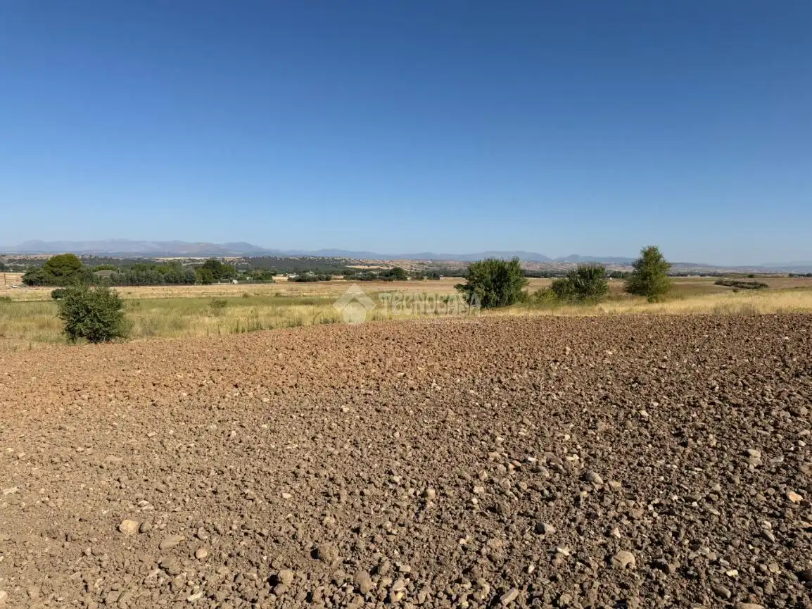 Terreny rústic en venda a Fuente El Saz de Jarama, imagen 7