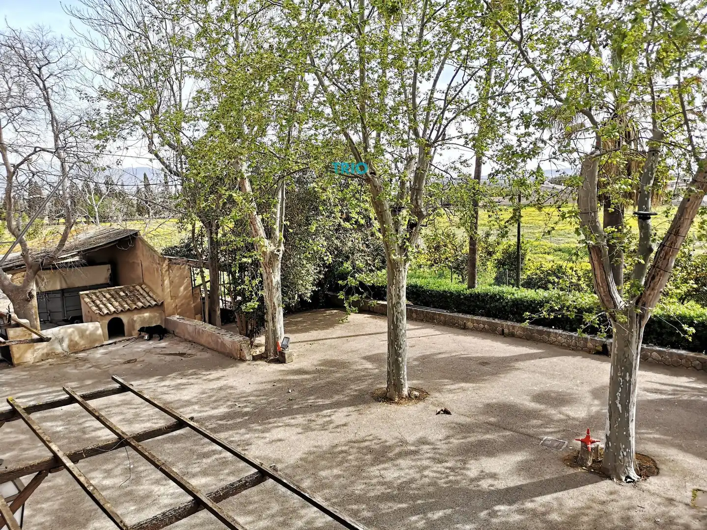 Casa amb terrassa en venda a Nord, imagen 15