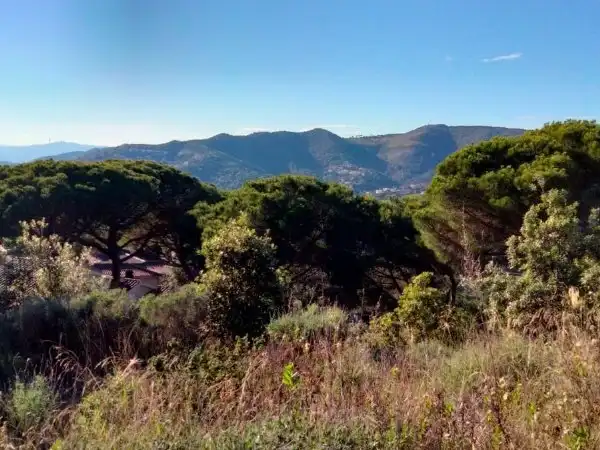 Residential land for sale in Avinguda Sant Mateu, imagen 3