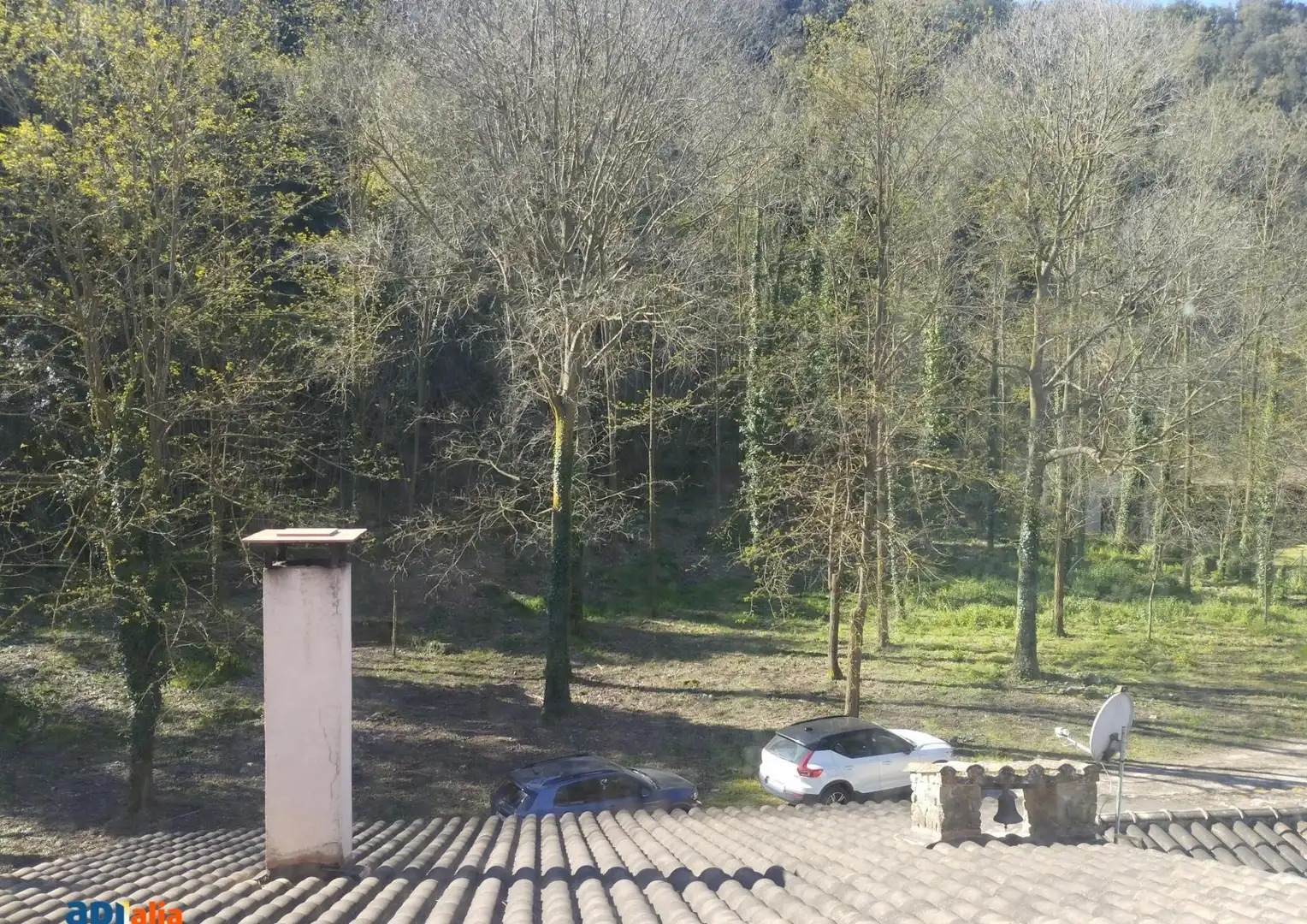 Finca rústica en venta en Massanes