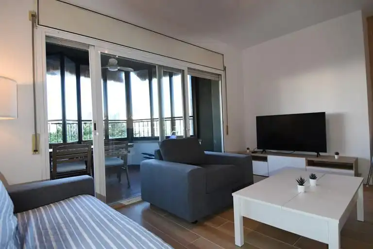 Sala d'estar de Pis de lloguer en Girona amb Aire condicionat, Calefacció i Terrassa