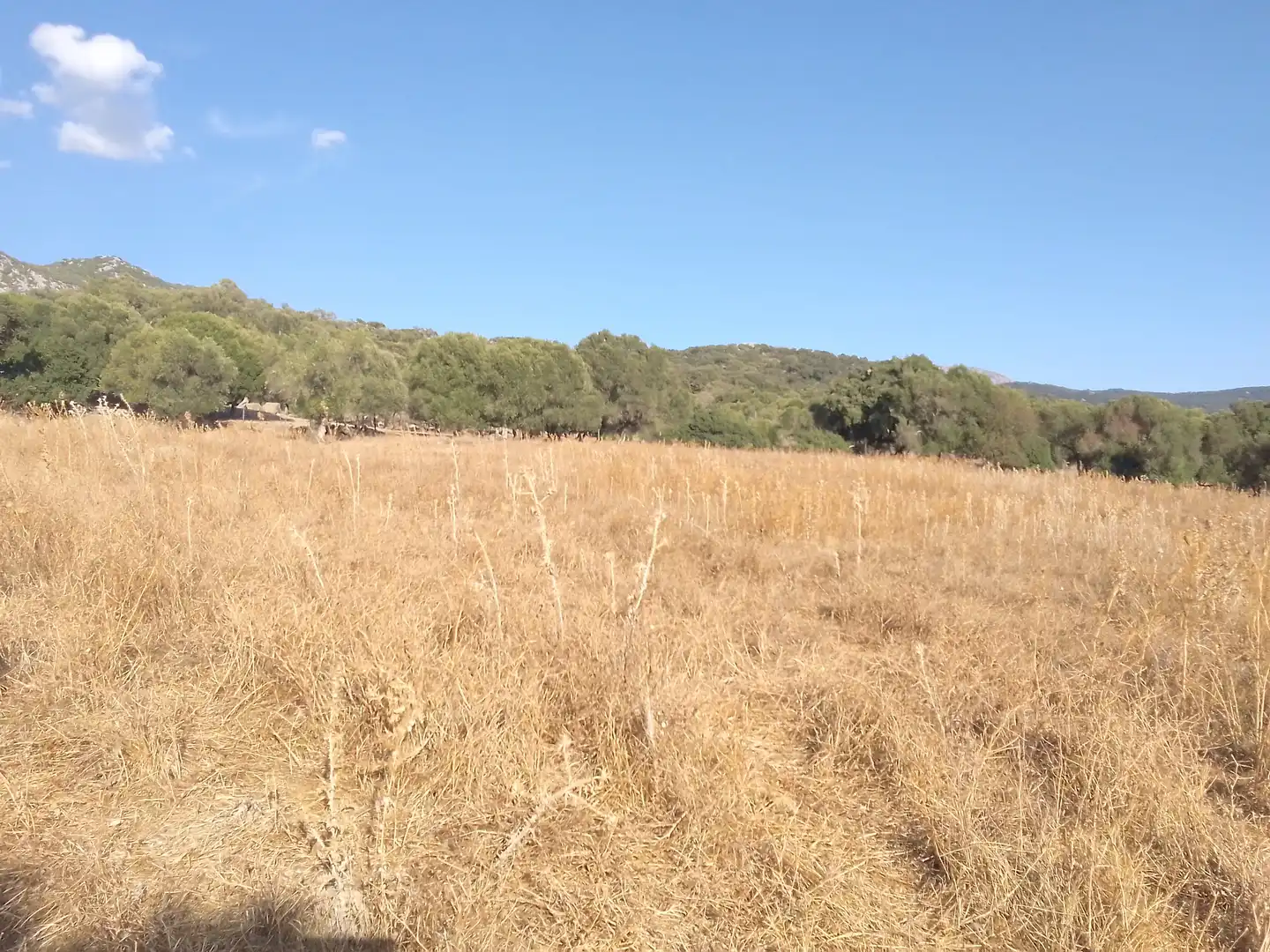 Terreni e lotti in vendita a Ubrique, imagen 18