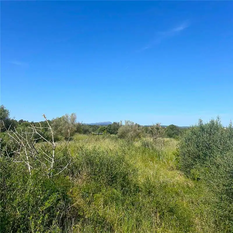 Residential land for sale in Manacor Centre, imagen 3