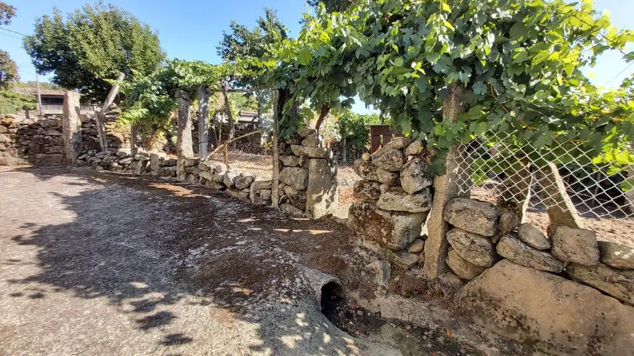 Jardí de Casa o xalet en venda en San Cristovo de Cea amb Calefacció, Jardí privat i Terrassa