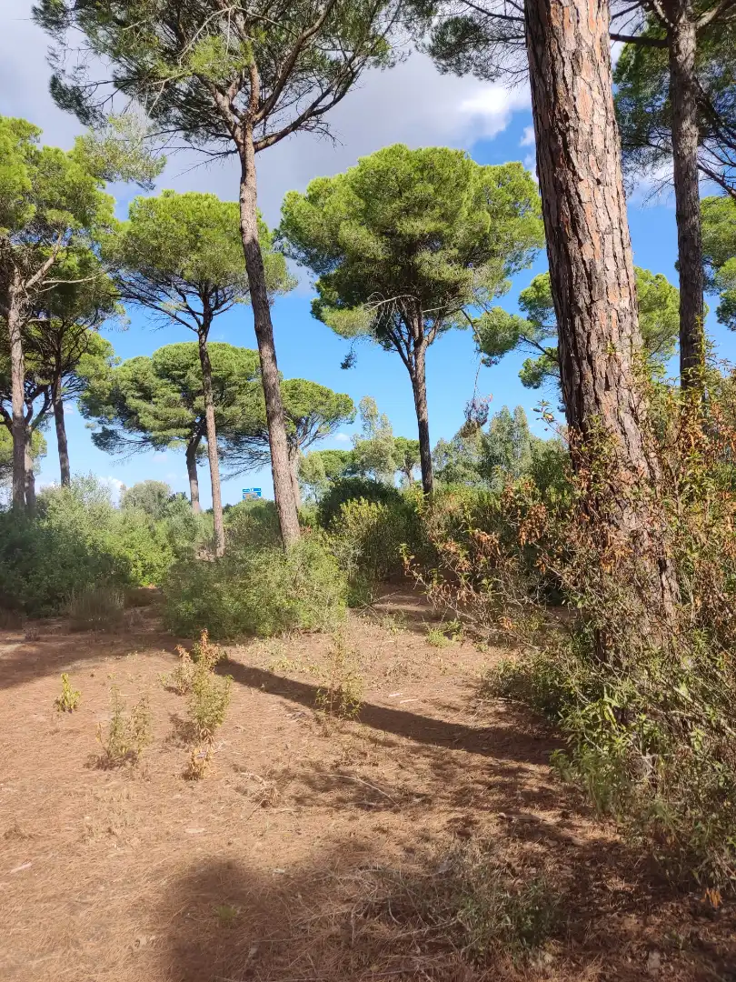 Terreni e lotti in vendita a Las Lagunas - Campano, imagen 9