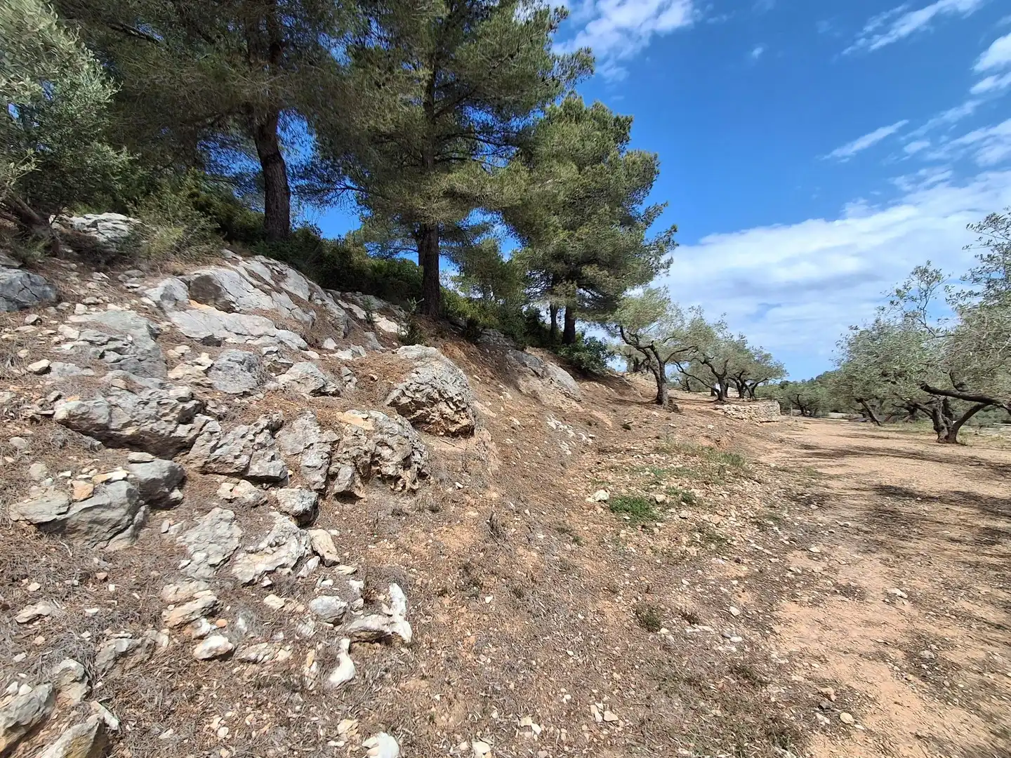 Terreno rustico in vendita a El Perelló, imagen 66