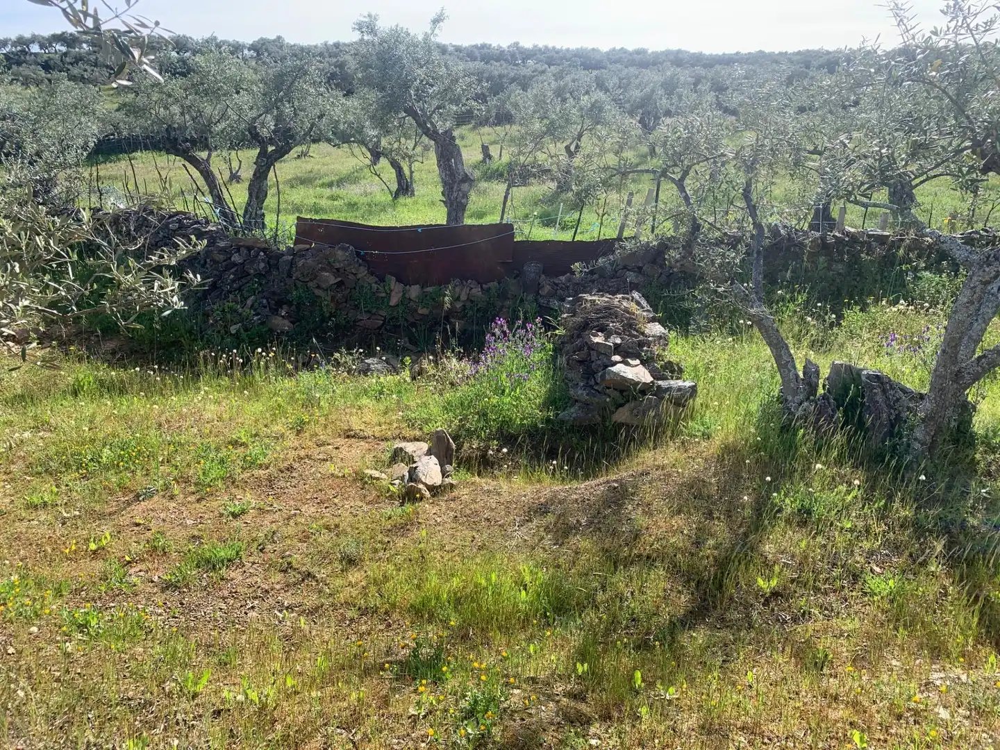 Terreni e lotti in vendita a LAS CARBONERAS, imagen 11