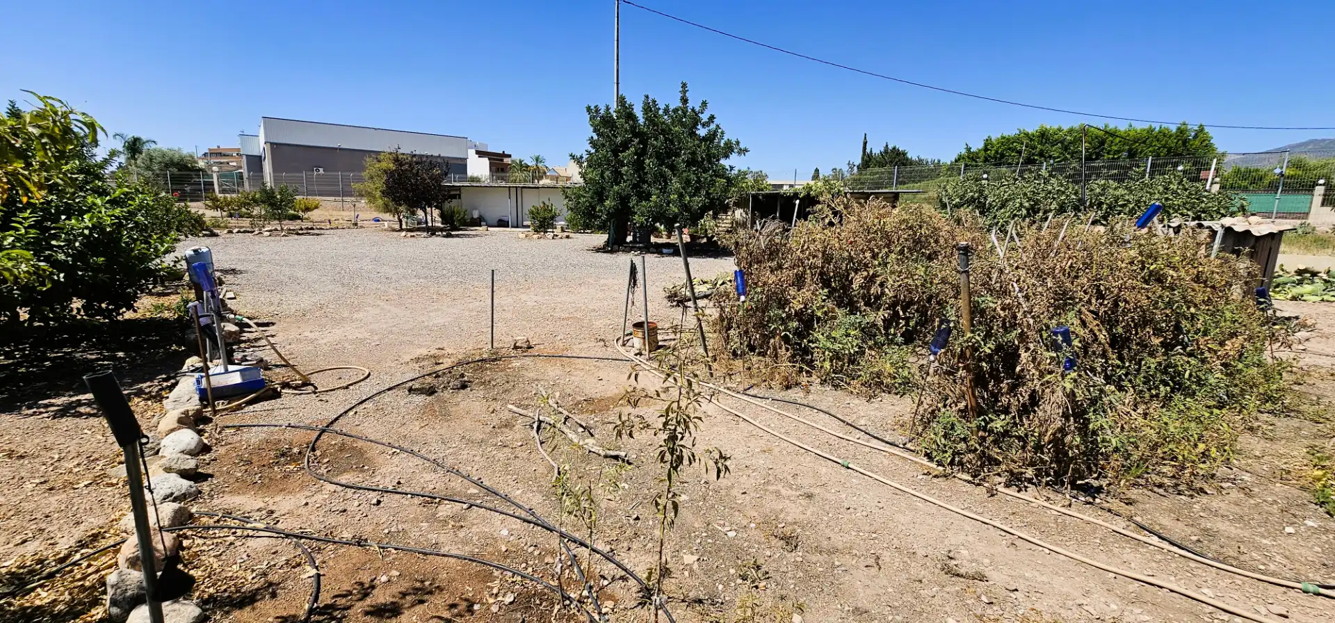 Nave industrial en venta en Totana