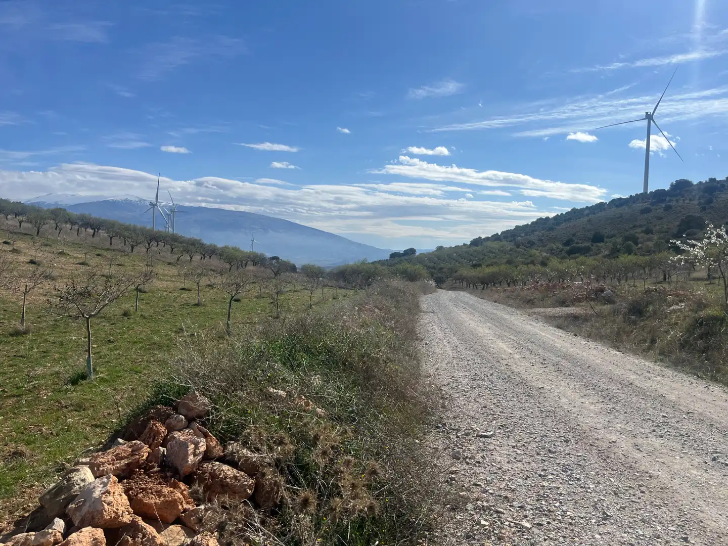 Rustikales Grundstück zum Verkauf in Camino de la Sierra, imagen 22