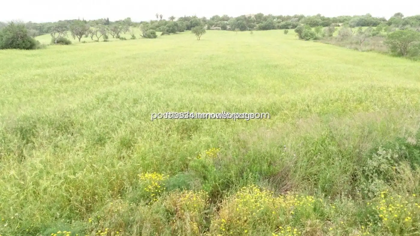 Terreno rustico in vendita a Llucmajor pueblo, imagen 11