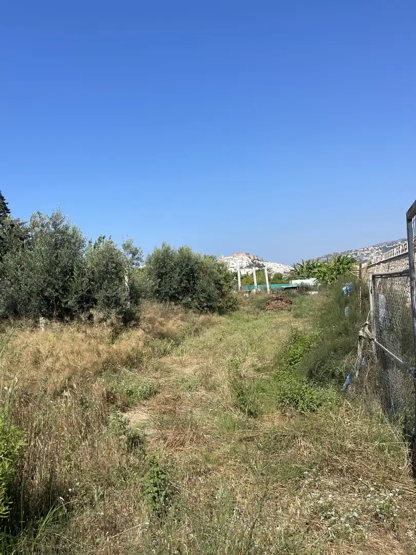 Finca rústica en venta en Salobreña