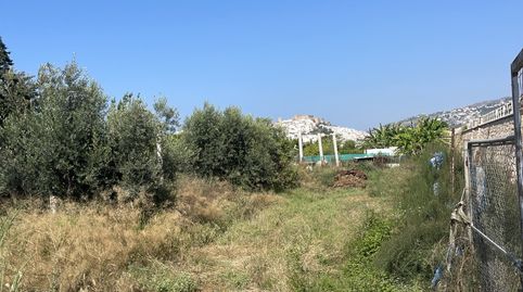 Foto 5 de Finca rústica en venta en Centro, Salobreña