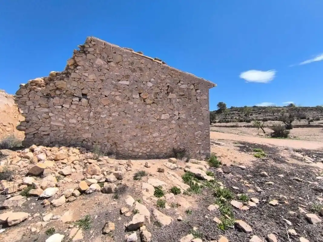 Haus zum Verkauf in El Pinós / Pinoso, imagen 4