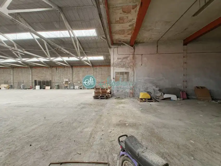 Industriegebäude zur Miete in El Cerro - Carretera de San Rafael, imagen 3